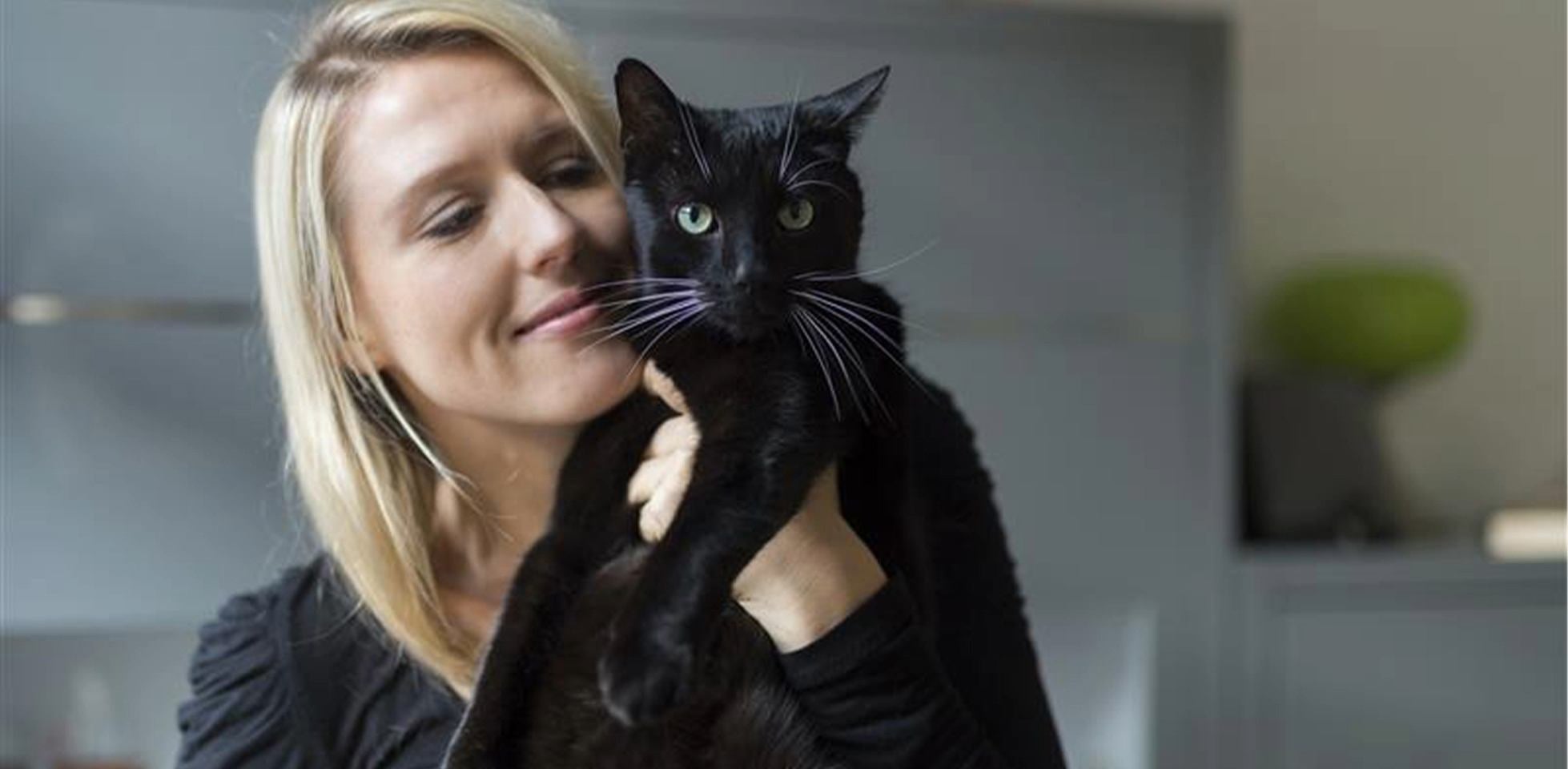 Gato negro de ojos verdes en los brazos de su tutora.