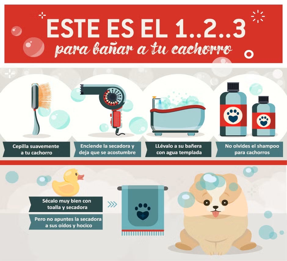 Infografía que te enseña cómo bañar a un perro.