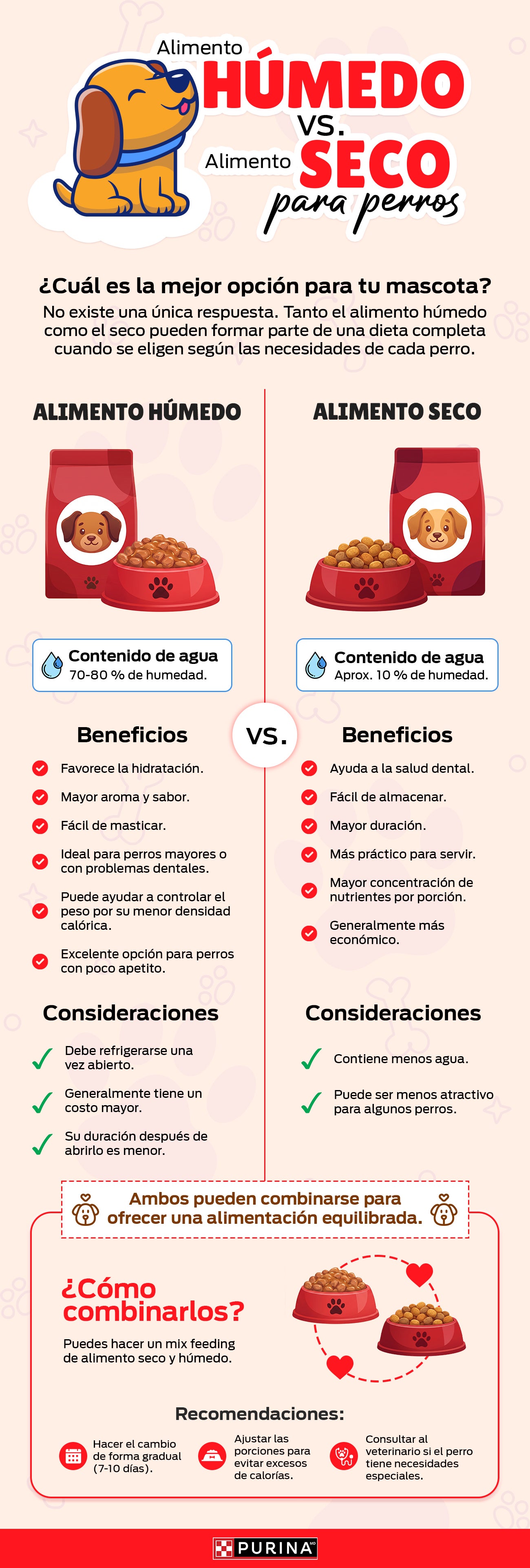 Alimento húmedo vs seco para perros.