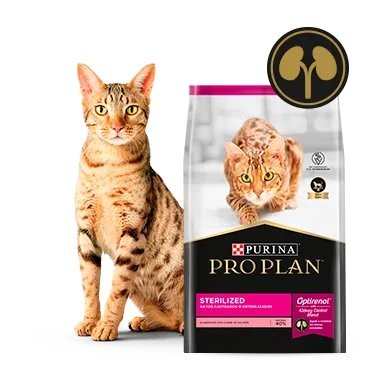 Purina%C2%AE-Proplan%C2%AE-Optirenal.png.webp?itok=uBdZORI_