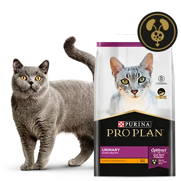 Purina%C2%AE-Proplan%C2%AE-Optritact.png.webp?itok=zYcT-Q9q