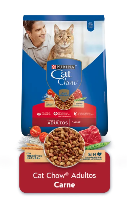 Cat-Chow%C2%AEAdultos-Carne.png.webp?itok=VfUgkEjk