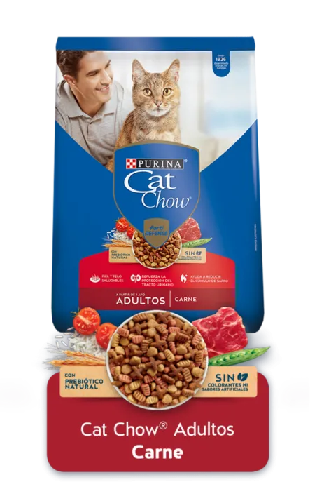 Cat-Chow%C2%AEAdultos-Carne.png.webp?itok=VfUgkEjk Cat-Chow%C2%AEAdultos-Carne.png.webp?itok=VfUgkEjk