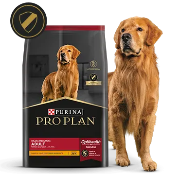 PURINA-PROPLAN-SECCION-PERROS-ADULTO_1.png.webp?itok=Ub4ginbw