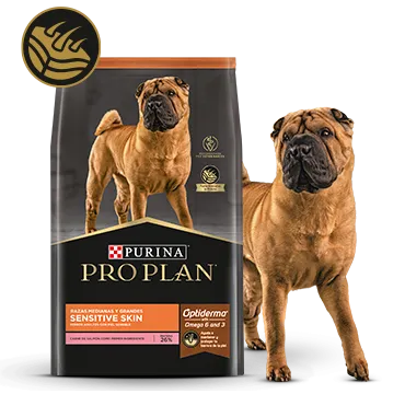 PURINA-PROPLAN-SECCION-PERROS-Sensitive-skin_2.png.webp?itok=2MwMcxB0 PURINA-PROPLAN-SECCION-PERROS-Sensitive-skin_2.png.webp?itok=2MwMcxB0