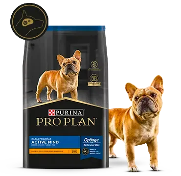 active_mind_pro_plan.png.webp?itok=d27x7GEf active_mind_pro_plan.png.webp?itok=d27x7GEf