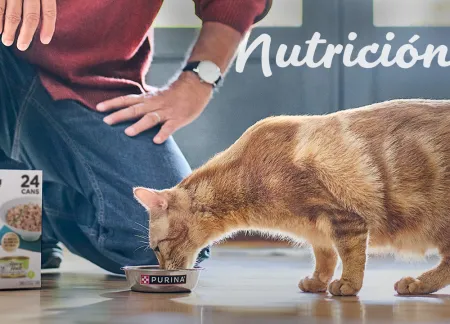 purina-img-cuidados-nutricion.jpg.webp?itok=x1JaC86d