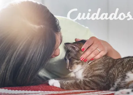 purina-img-cuidados.jpg.webp?itok=KM-SWzbp