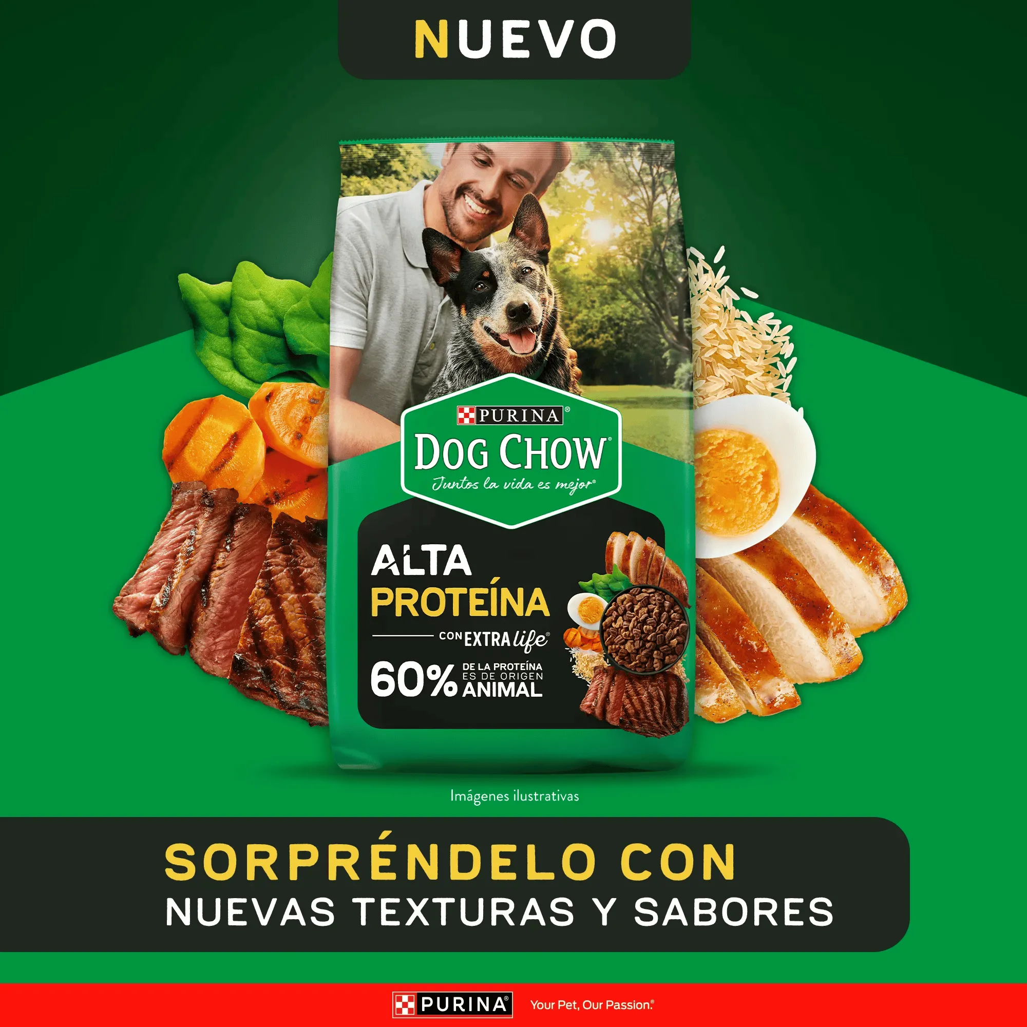 Imagen de bolsa de Dog Chow Alta Proteína, Frente